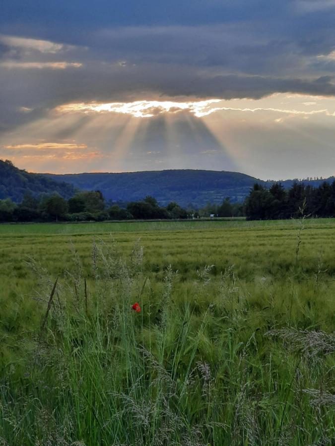 Ferienhaus Am Weserberglandsee Lauenforde Dış mekan fotoğraf